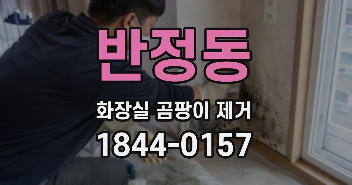 반정동 화장실 곰팡이 제거