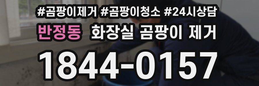 반정동 화장실 곰팡이 제거