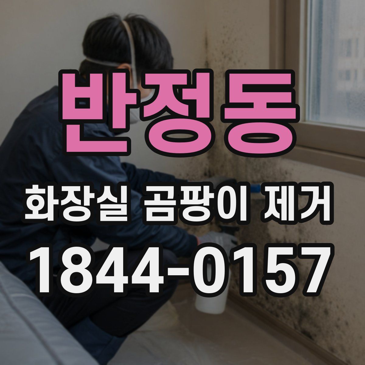 반정동 화장실 곰팡이 제거