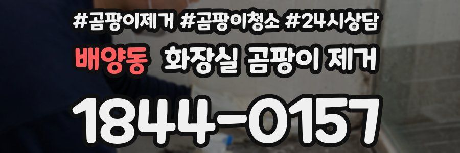 배양동 화장실 곰팡이 제거