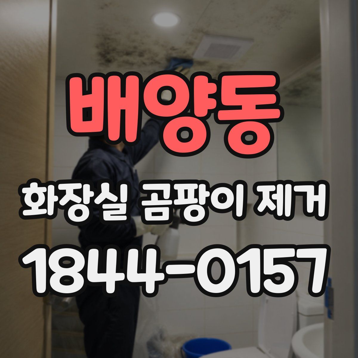 배양동 화장실 곰팡이 제거