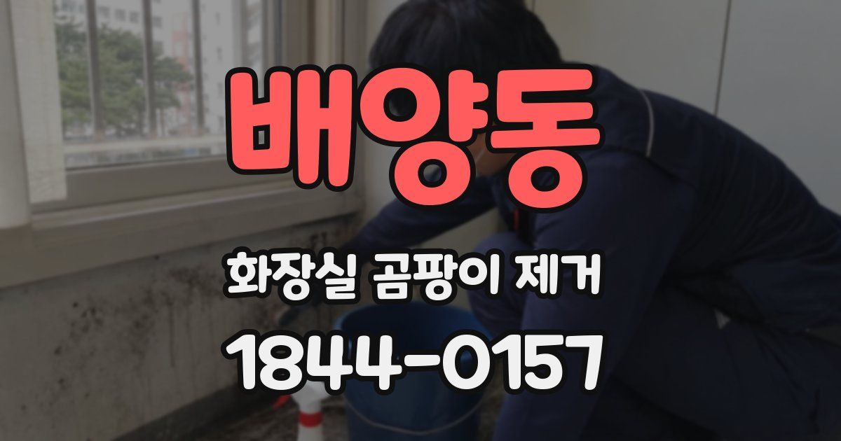 배양동 화장실 곰팡이 제거