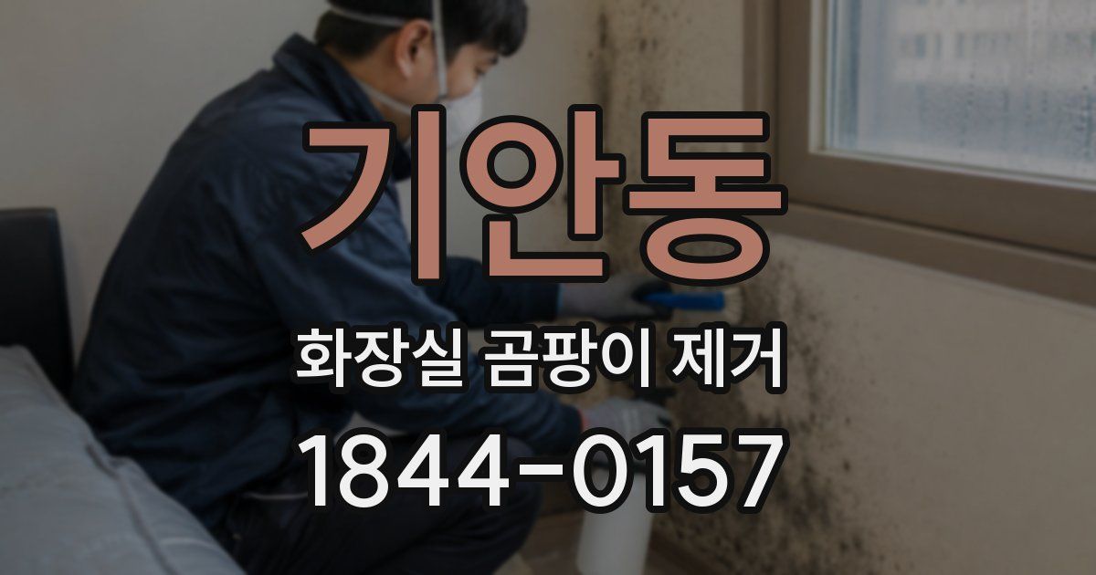 기안동 화장실 곰팡이 제거