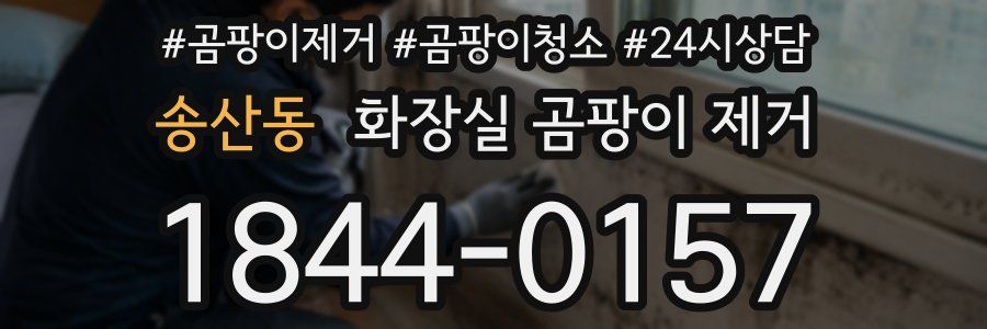 송산동 화장실 곰팡이 제거