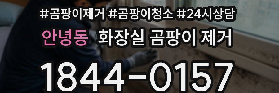 안녕동 화장실 곰팡이 제거