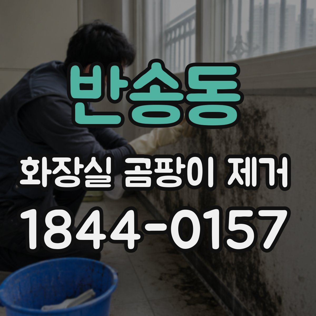 반송동 화장실 곰팡이 제거