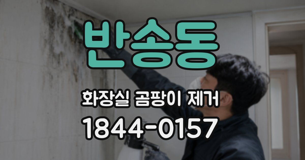 반송동 화장실 곰팡이 제거