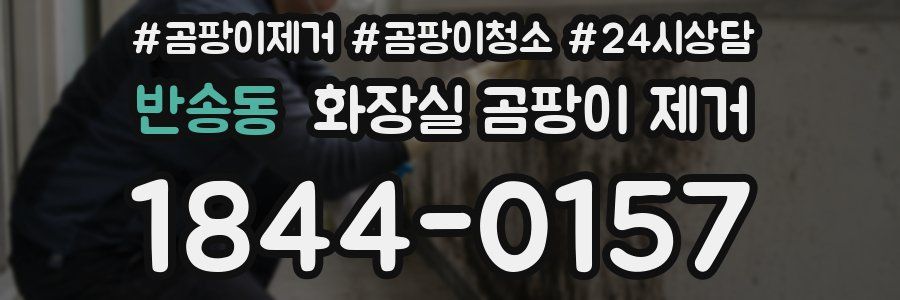 반송동 화장실 곰팡이 제거