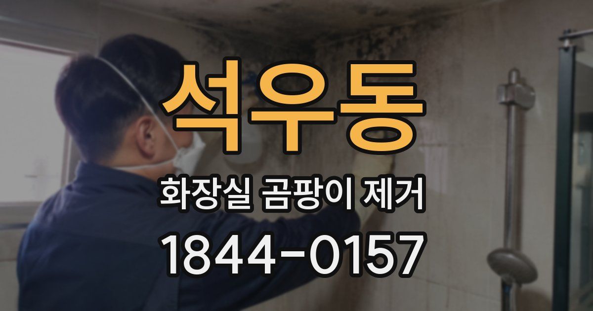 석우동 화장실 곰팡이 제거