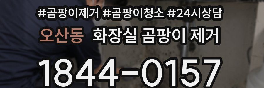오산동 화장실 곰팡이 제거