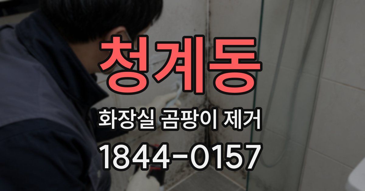 청계동 화장실 곰팡이 제거