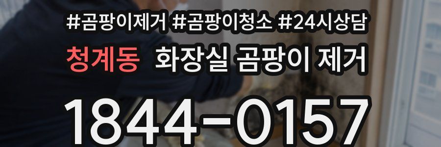 청계동 화장실 곰팡이 제거