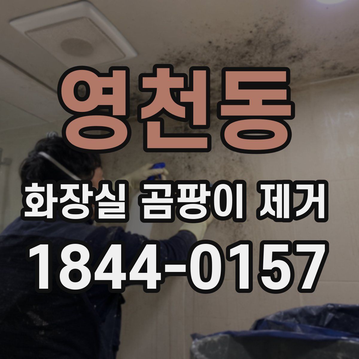 영천동 화장실 곰팡이 제거
