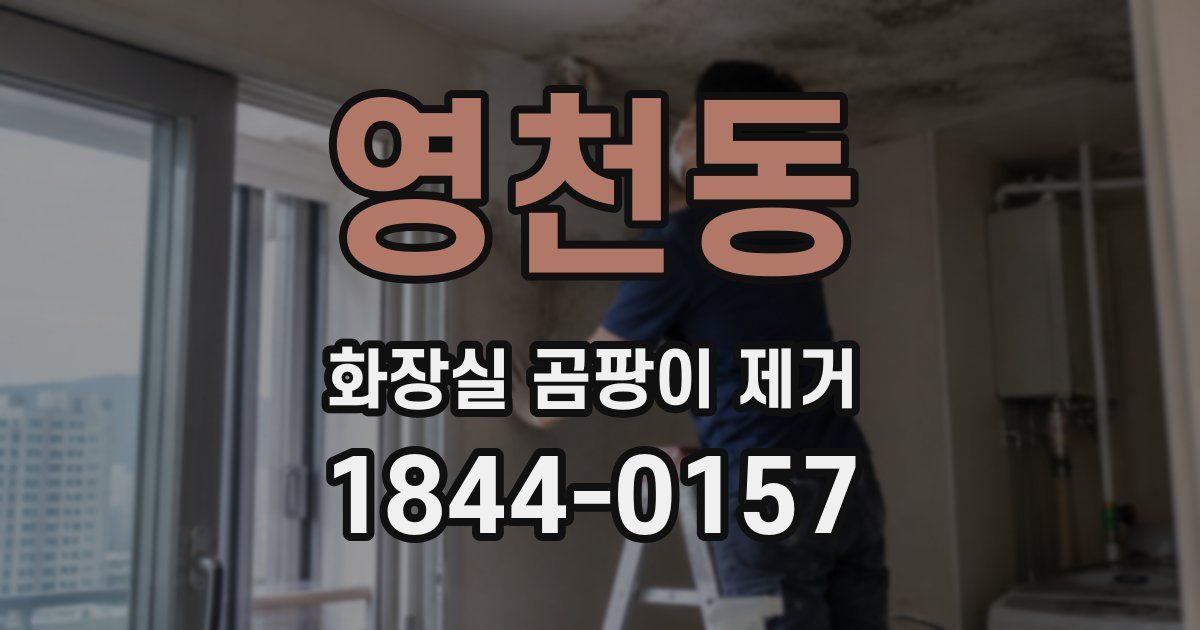 영천동 화장실 곰팡이 제거
