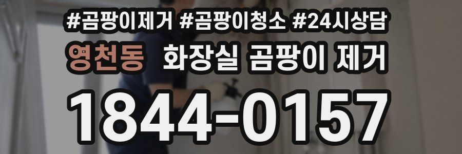 영천동 화장실 곰팡이 제거