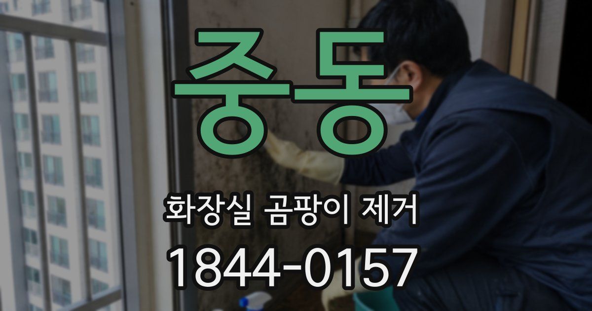 중동 화장실 곰팡이 제거