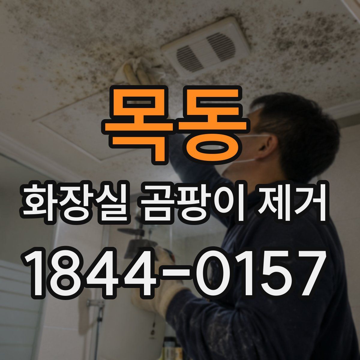 목동 화장실 곰팡이 제거