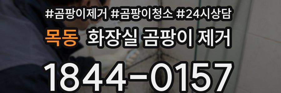 목동 화장실 곰팡이 제거