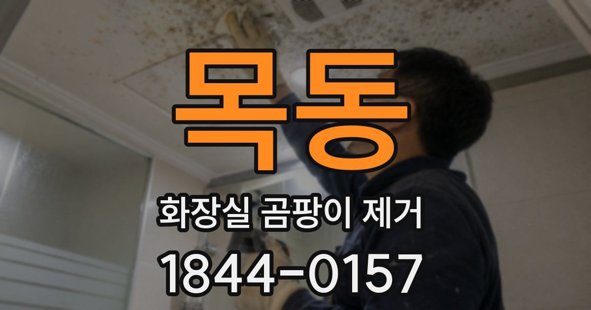 목동 화장실 곰팡이 제거