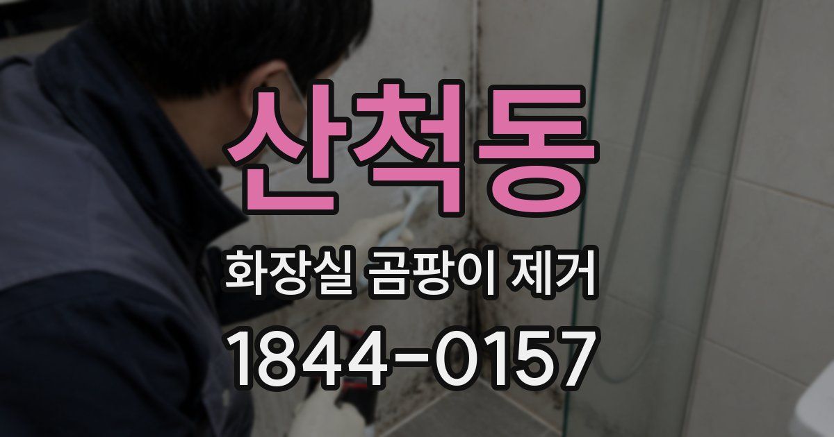 산척동 화장실 곰팡이 제거