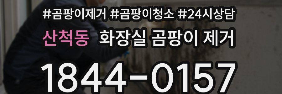 산척동 화장실 곰팡이 제거