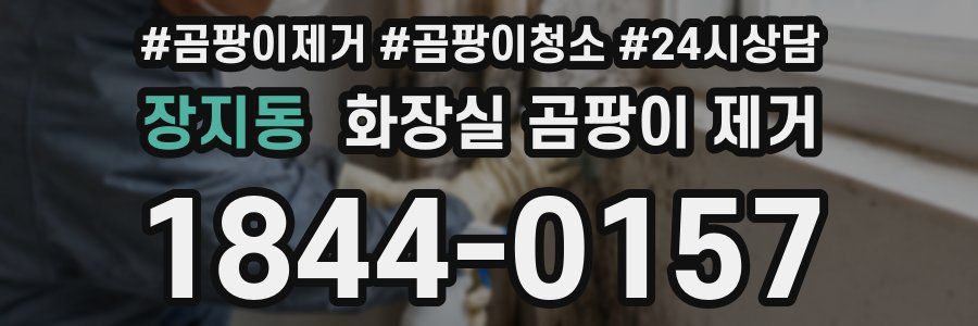 장지동 화장실 곰팡이 제거
