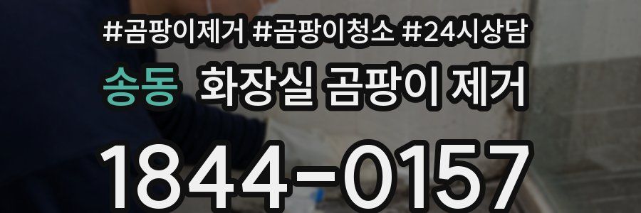 송동 화장실 곰팡이 제거