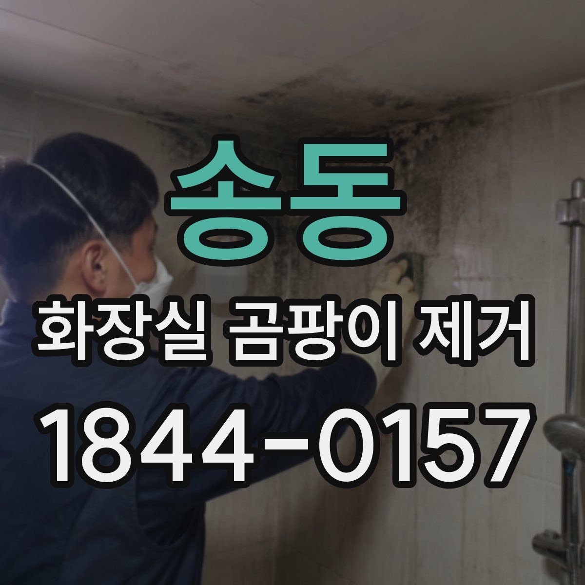 송동 화장실 곰팡이 제거