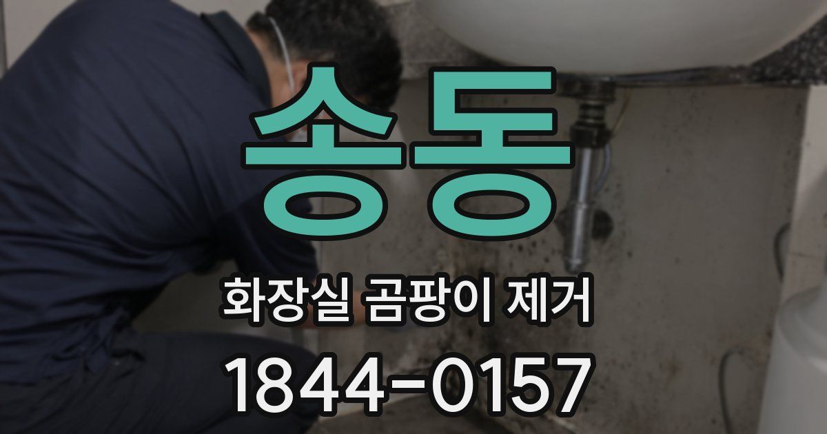 송동 화장실 곰팡이 제거