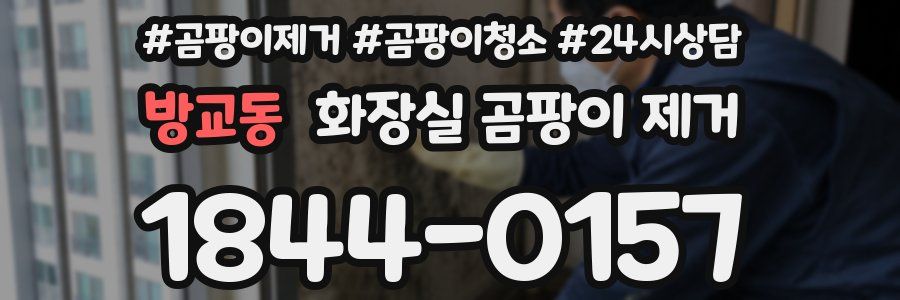 방교동 화장실 곰팡이 제거