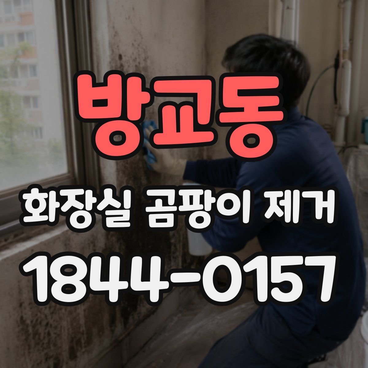 방교동 화장실 곰팡이 제거