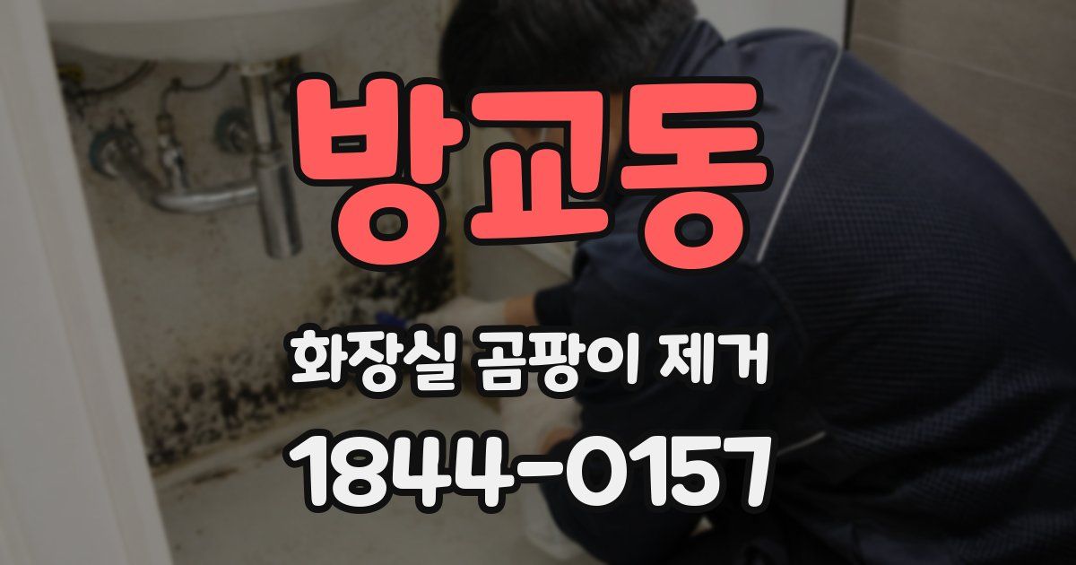 방교동 화장실 곰팡이 제거