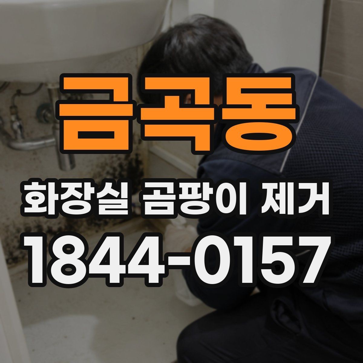 금곡동 화장실 곰팡이 제거 세정 후 하얗게 남는 자국 구분하기