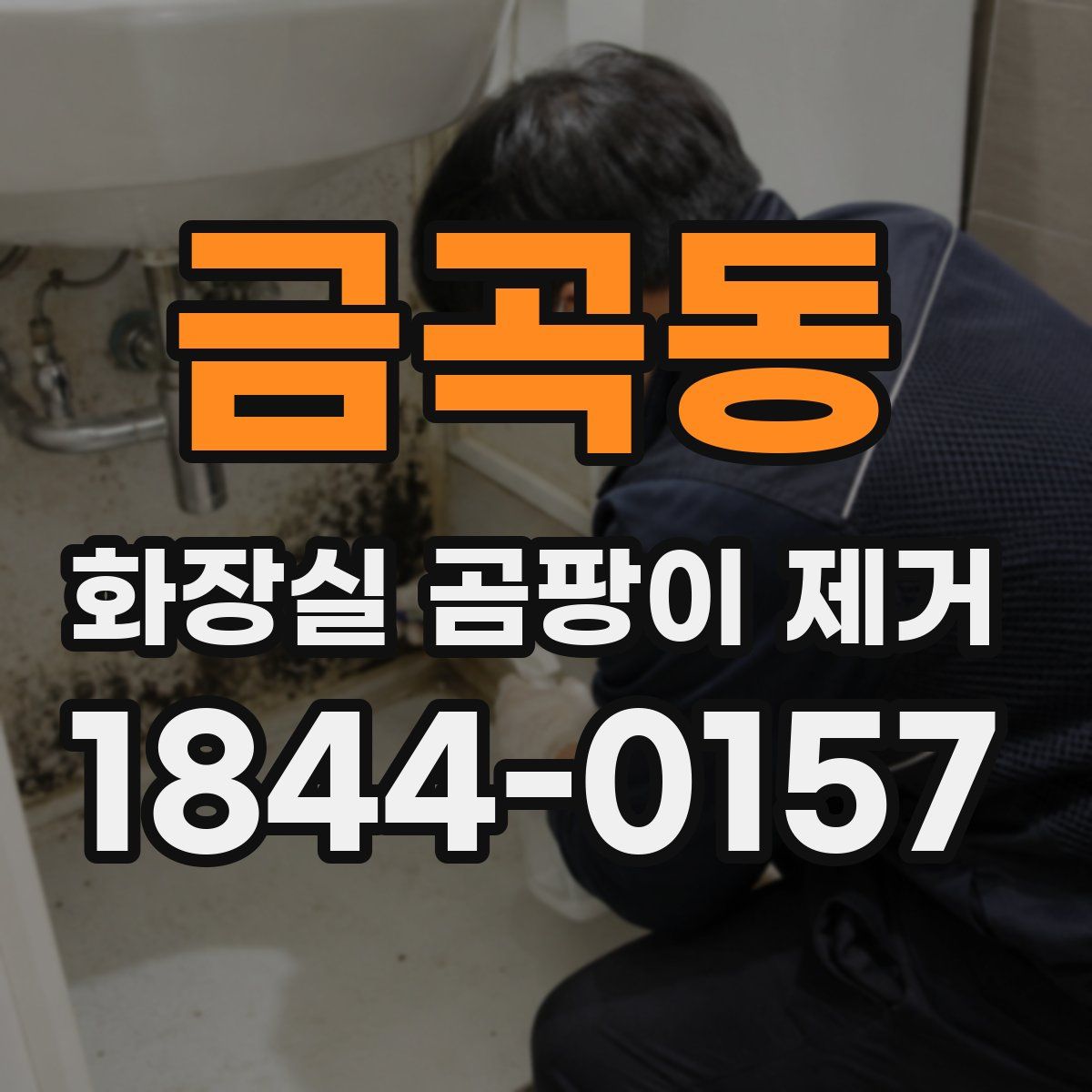 금곡동 화장실 곰팡이 제거