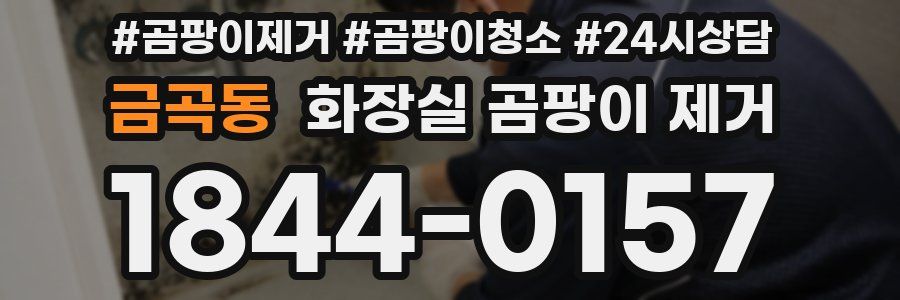 금곡동 화장실 곰팡이 제거