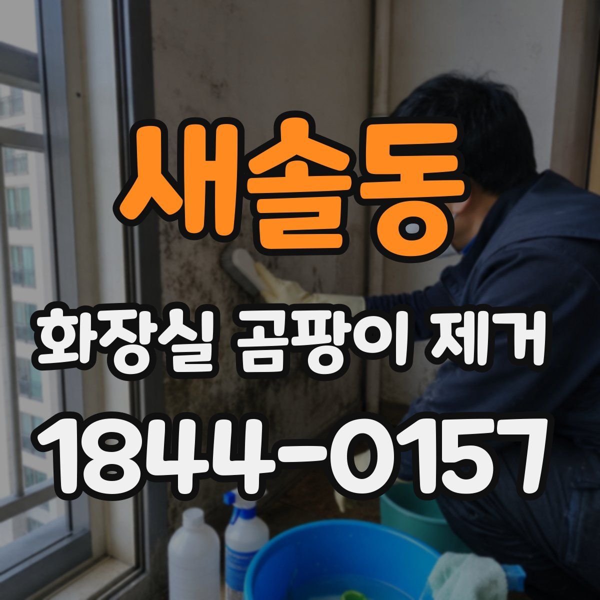 새솔동 화장실 곰팡이 제거