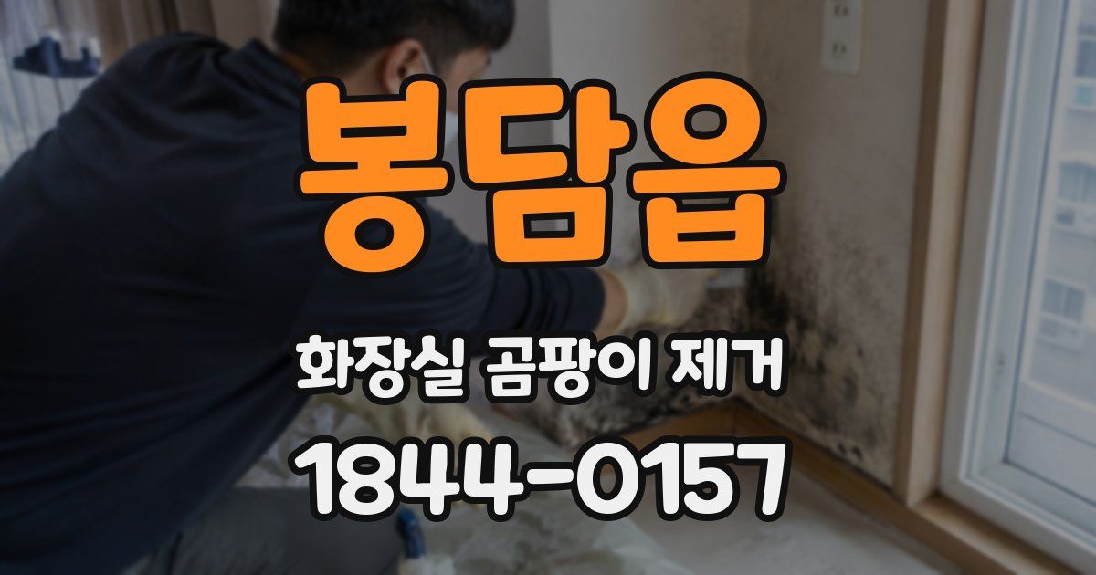 봉담읍 화장실 곰팡이 제거