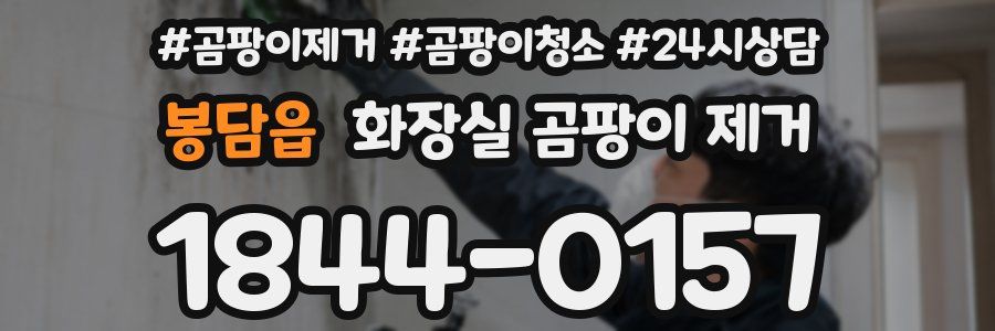 봉담읍 화장실 곰팡이 제거