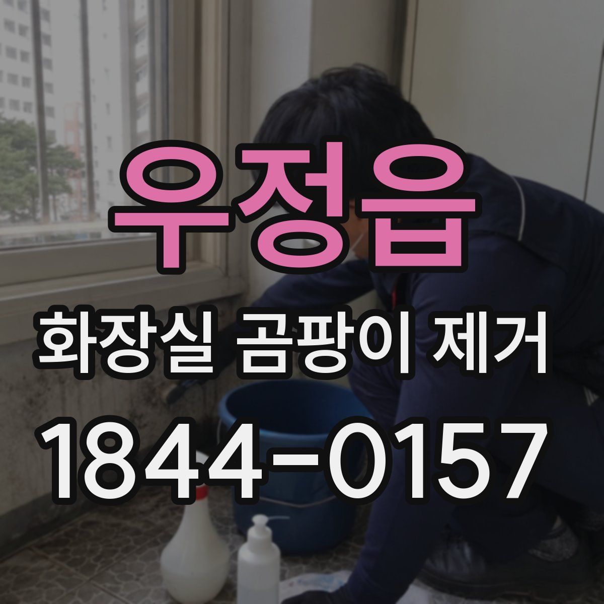 우정읍 화장실 곰팡이 제거