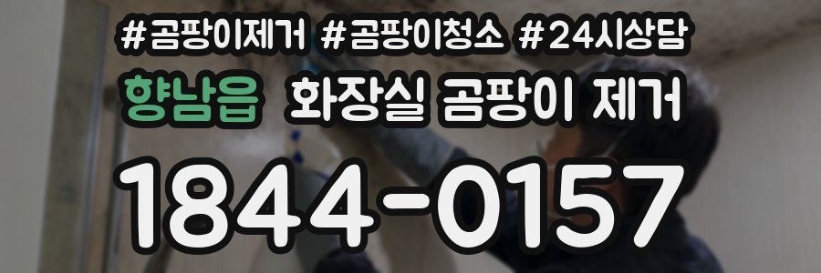 향남읍 화장실 곰팡이 제거