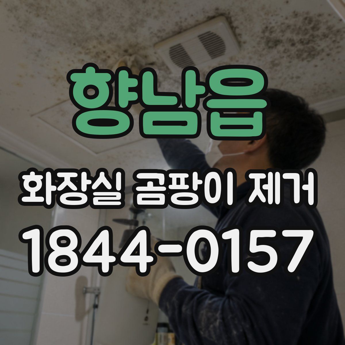 향남읍 화장실 곰팡이 제거