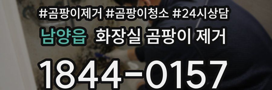 남양읍 화장실 곰팡이 제거