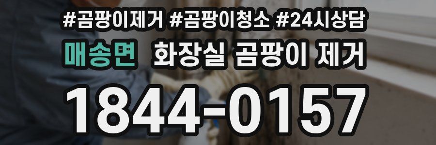 매송면 화장실 곰팡이 제거