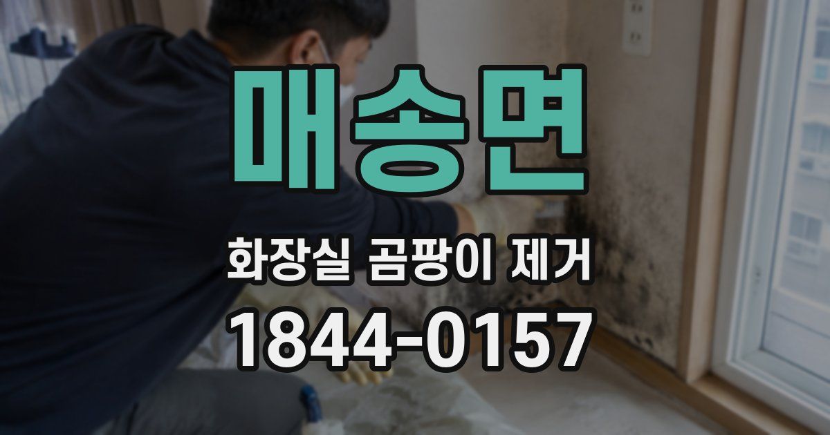 매송면 화장실 곰팡이 제거