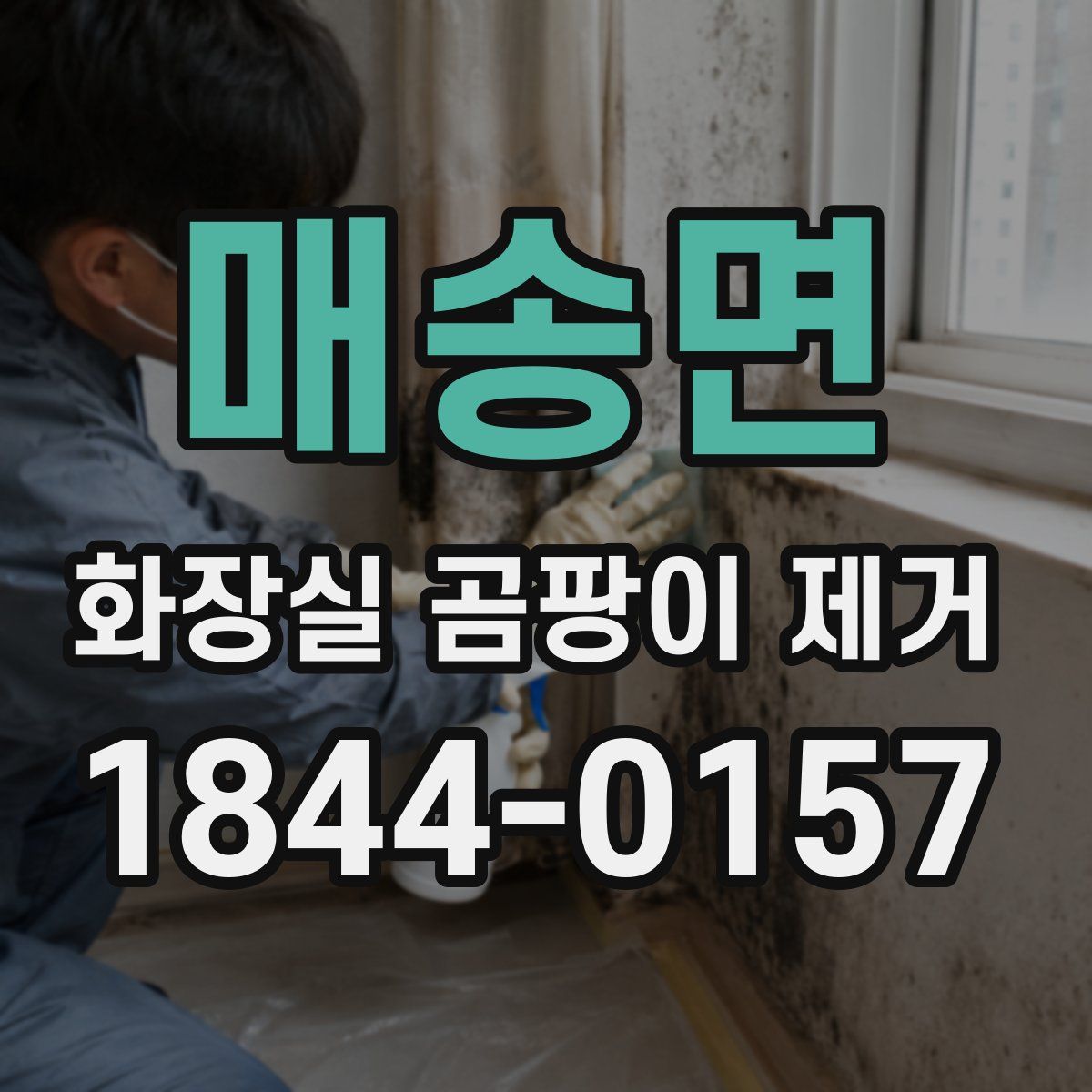 매송면 화장실 곰팡이 제거