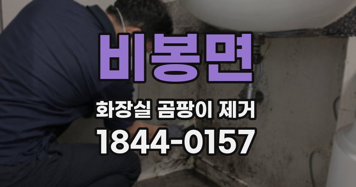 비봉면 화장실 곰팡이 제거