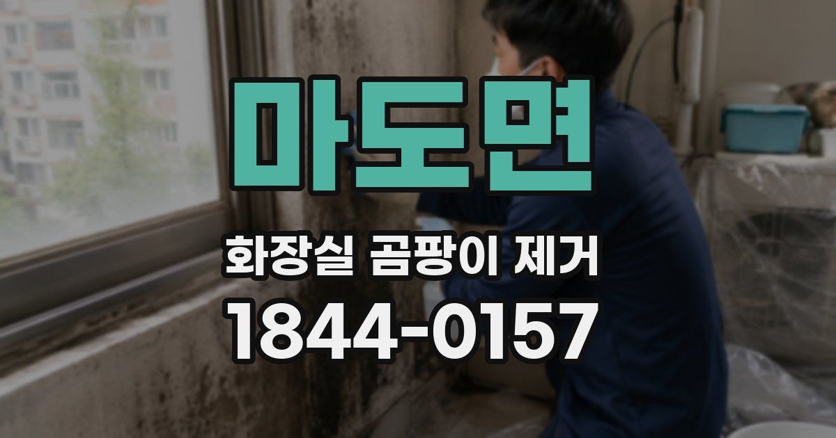 마도면 화장실 곰팡이 제거