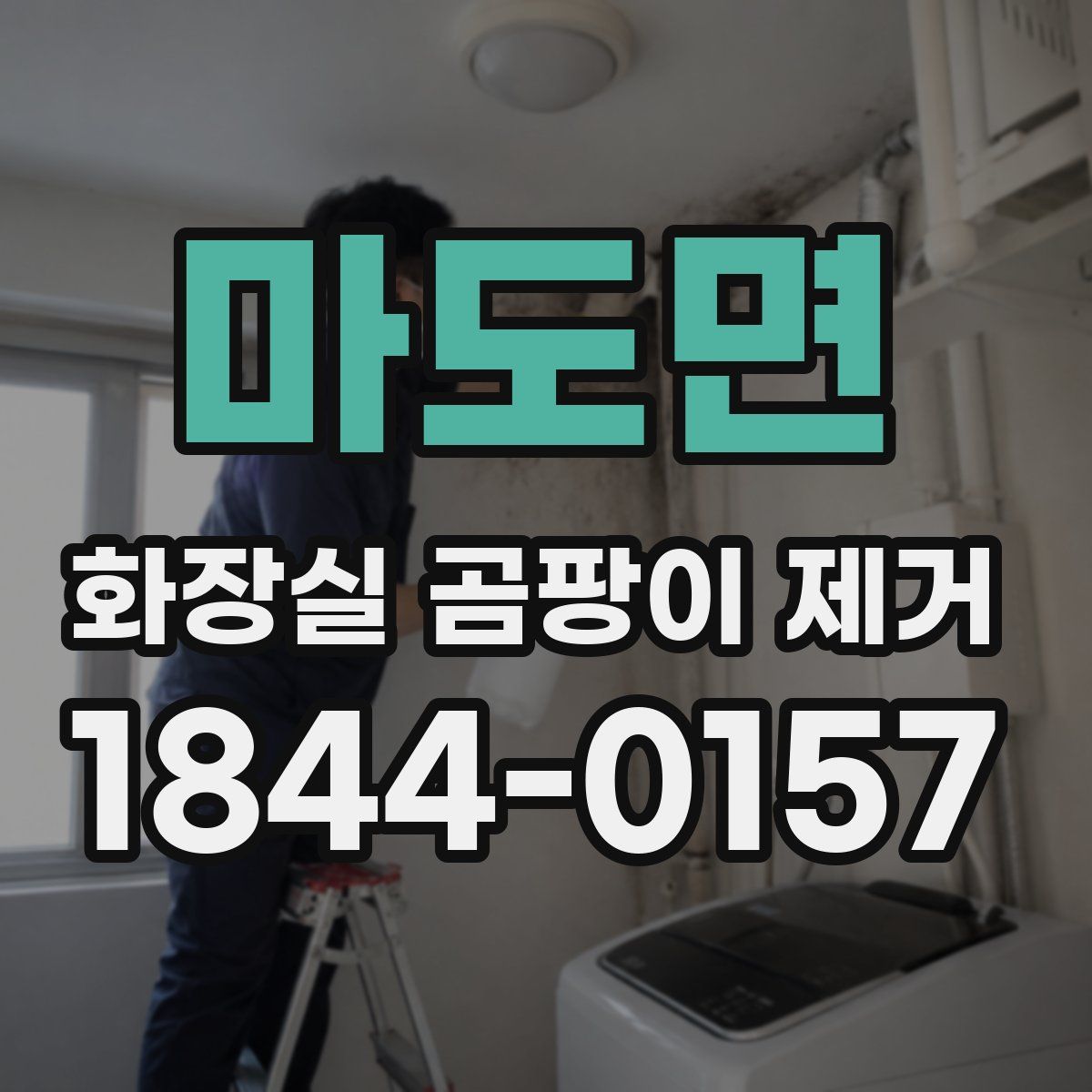 마도면 화장실 곰팡이 제거