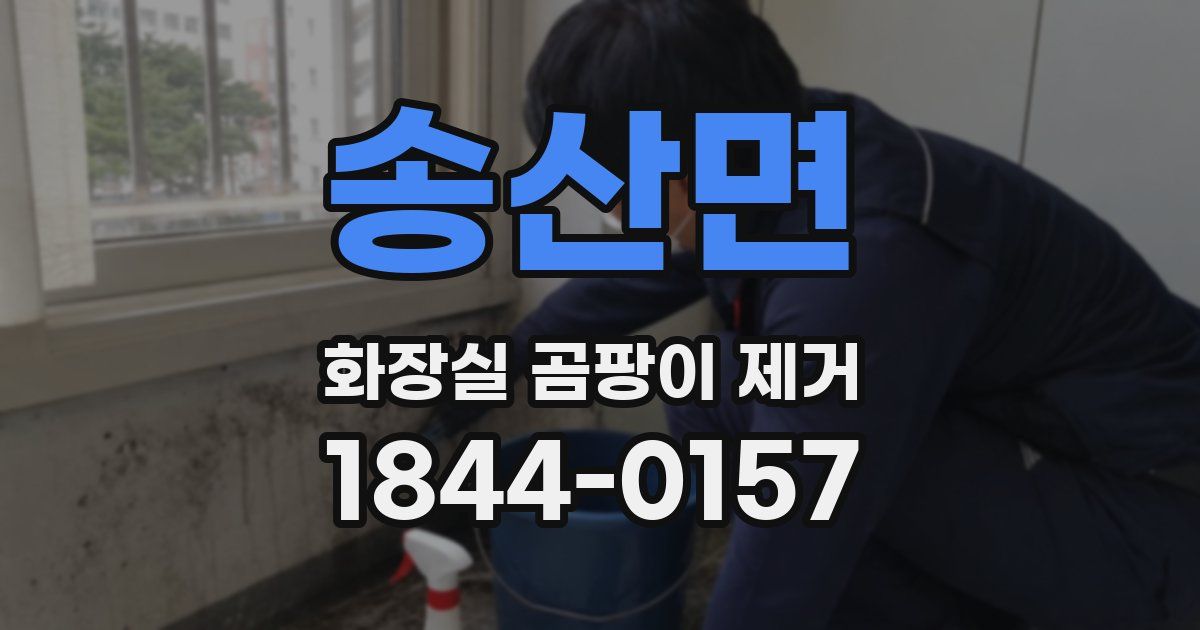 송산면 화장실 곰팡이 제거
