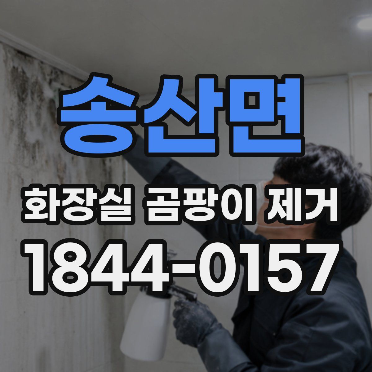 송산면 화장실 곰팡이 제거